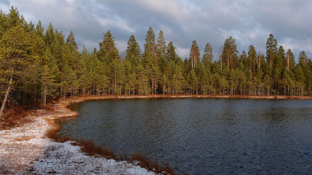 Syksyinen järvenranta, metsää ympärillä. Hieman lunta maassa.