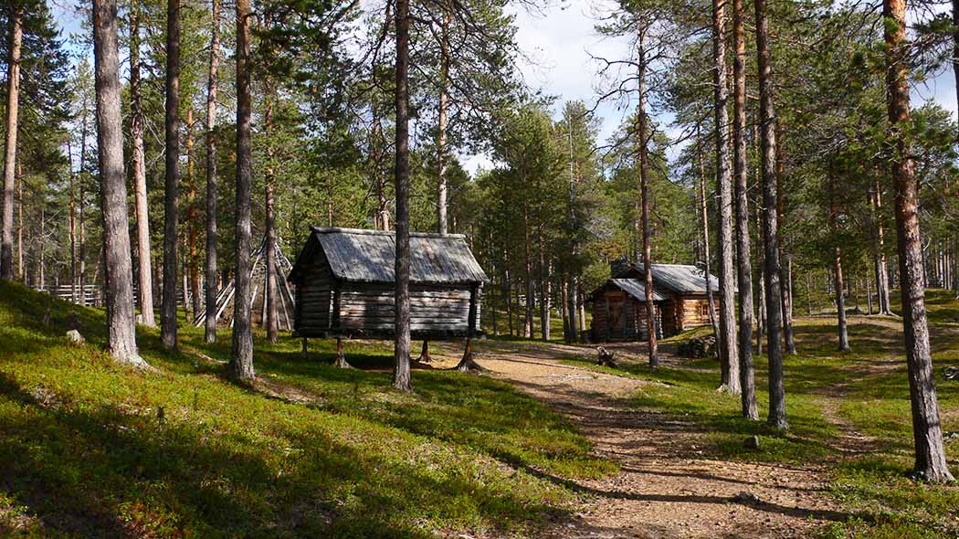 Kaksi vanhaa, hirsistä tupaa ja laavun ruoteet kangasmetsän keskellä. Edustalla harvakseltaan mäntyjä, joiden välistä kulkee polku kohti rakennuksia.