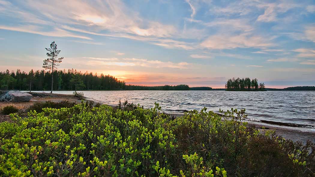 Järven ranta. Kauempana avovettä.