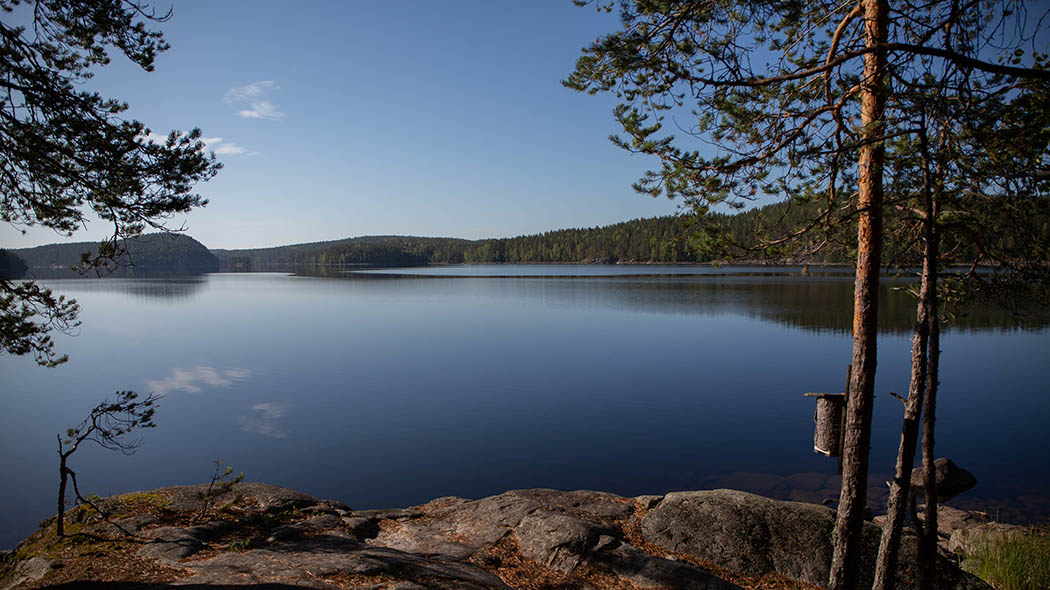 Tyyni järven pinta. Maisemassa kalliorantaa ja metsää. On aurinkoinen aamu.