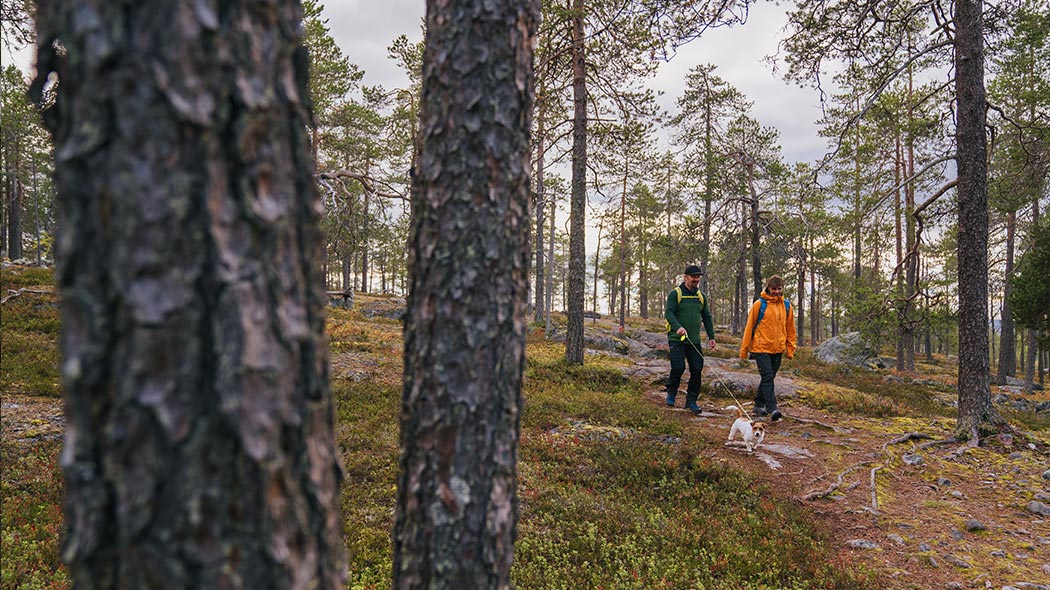 Kaksi henkilöä, joista toinen taluttaa koiraa kävelevät reput selässä polulla kallioisessa maastossa metsän keskellä.