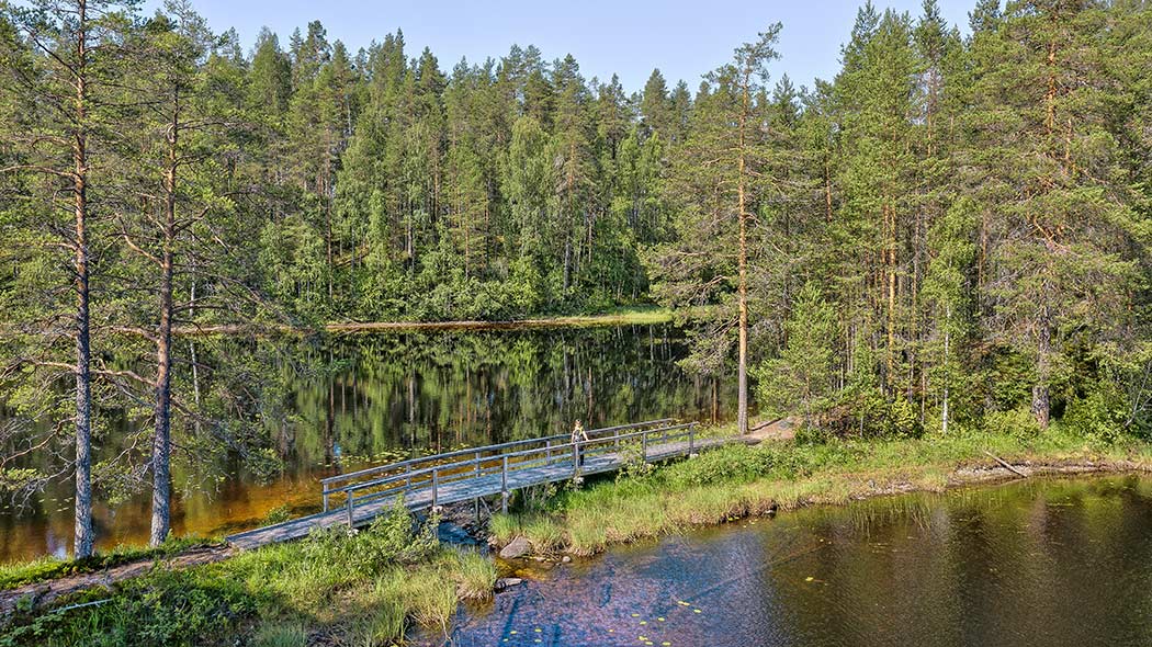 Järven pinta on tyyni ja metsän puut kuvastuvat siihen.