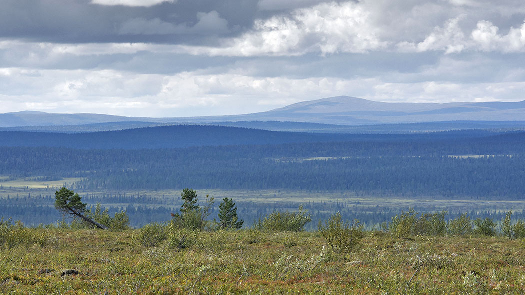 Edessä matalaa kasvillisuutta ja rinne laskeutuu näkymättömiin. Alhaalla suokaistaleita, joiden välissä metsää. Taustalla korkeat tunturin huiput.