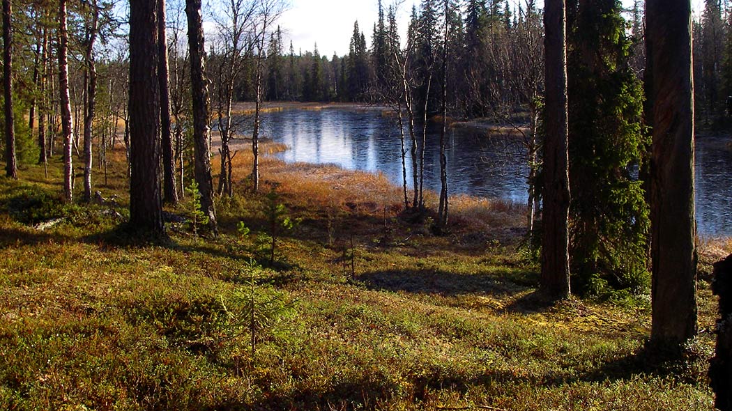 Jääriitteinen joki syksyisessä maisemassa.