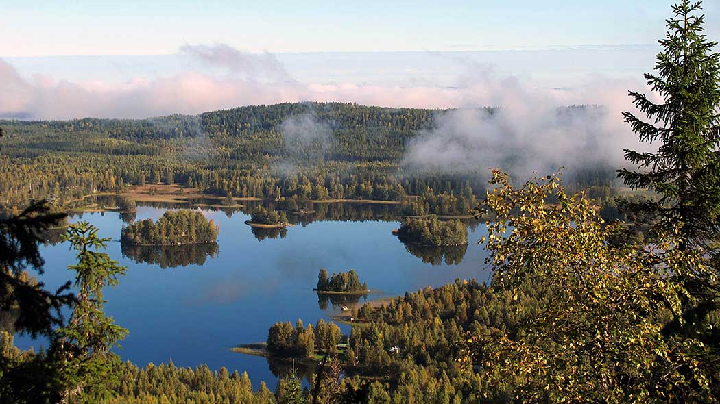 Maisemakuva Herajärven kierroksen varrelta.