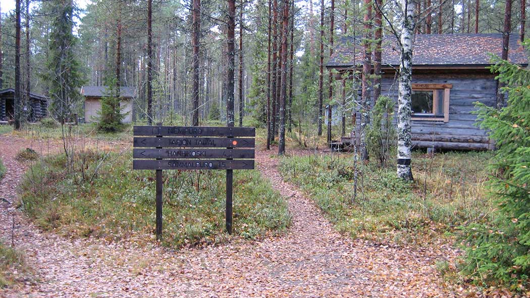 Etualalla opasviittoja sekä metsäpolkuja. Taustalla  metsässä puurakennuksia. Tapion taival. Kuva: Tarja Teppo