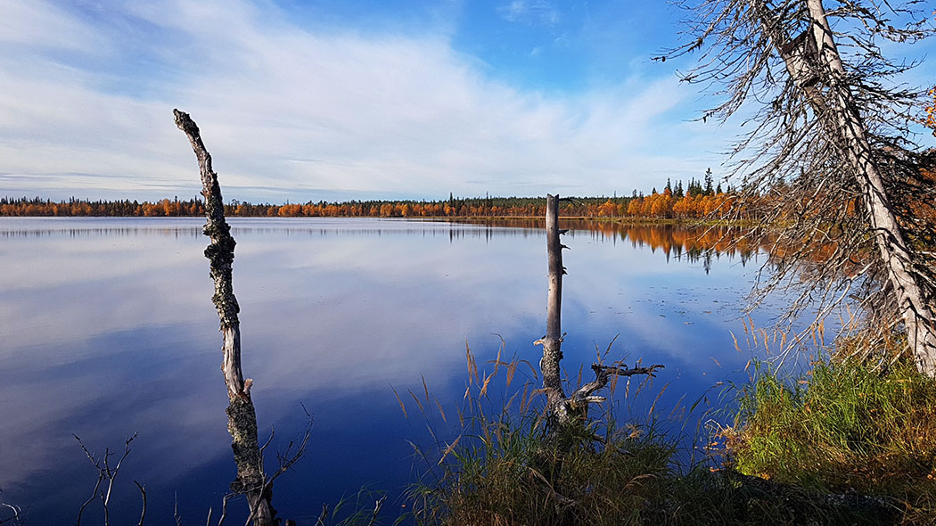 Tyyni järvimaisema. Järven pinnasta heijastuu taivaalla olevat pilvet. Vastarannalla syksyistä metsää.