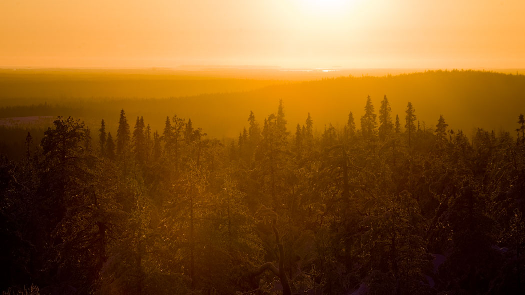 Lämmin keltaoranssi valo läpäisee usvaisen metsän. Vaarojen selät piirtyvät auringon valoa vasten ja ihan taivaan ja maan yhtymäkohdassa näkyy järvi.