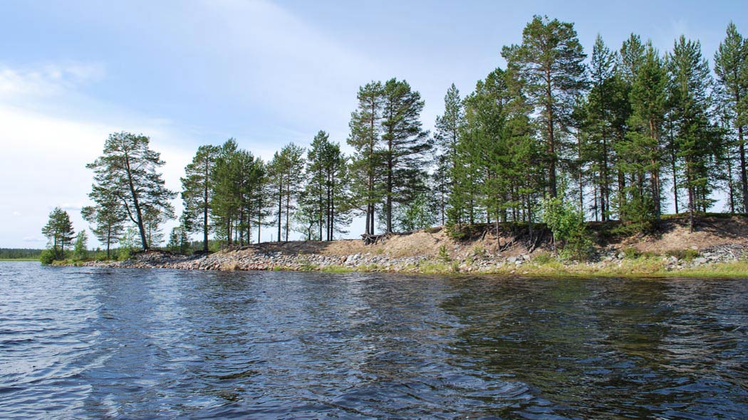 Kapea ja pitkä särkkä, jonka ranta on rapautunut. Hiekkaisen särkän päällä havupuita.