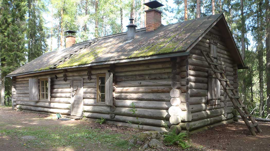 Metsässä oleva hirsirakennus. Rakennuksen seinää vasten nojaa puiset tikapuut.