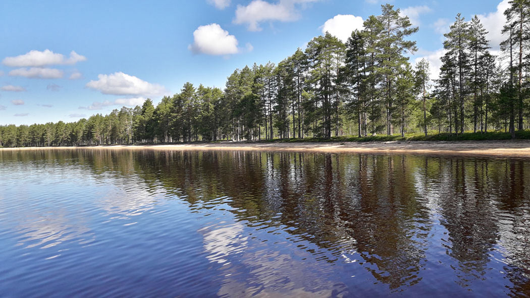 Hiekkaranta. Etualalla järveä. Taustalla metsää.