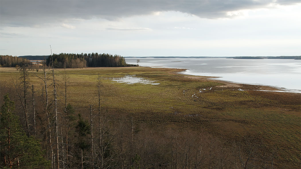 Mietoistenlahden rantamaisemaa yläviistosta.