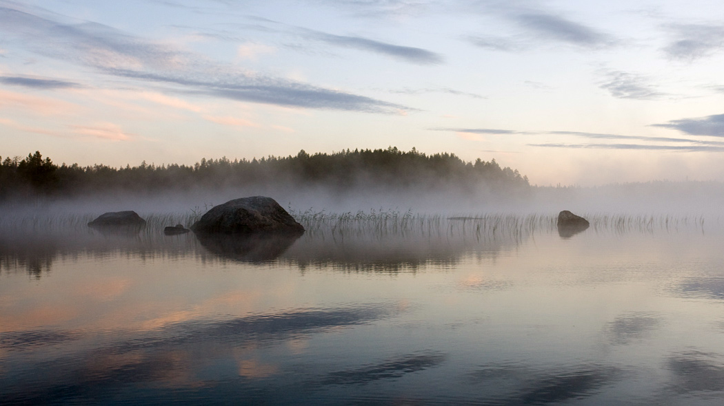 Kesäöinen järvimaisema. Etualalla järven pintaa, vedessä isoja kiviä ja kaislikkoa, veden yllä leijuu usva. Taustalla havumetsää.