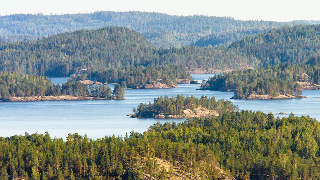 Metsäinen saaristomaisema.