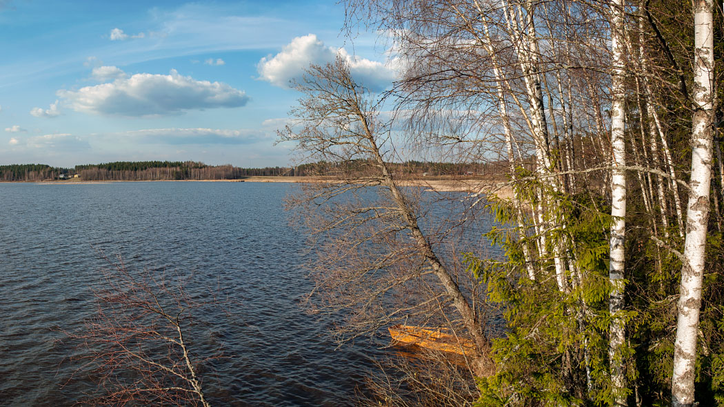 Järvimaisema. Vastarannalla metsää. Omenojärven pyöreää muotoa. Kuva: Jari Kostet.