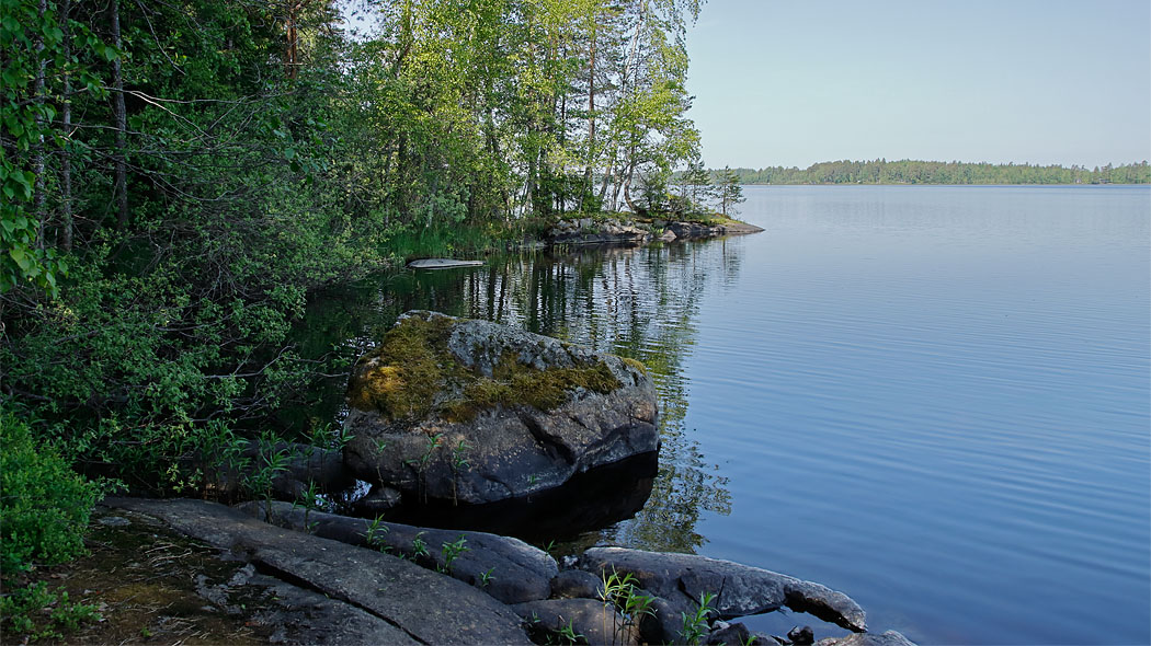 Kesäinen Pinkjärvi rantametsineen.