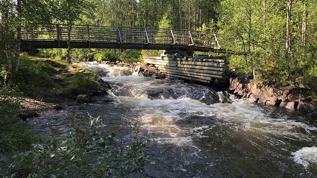 Matalana virtaavan kosken yllä puusta tehty silta. Ympärillä puustoa.