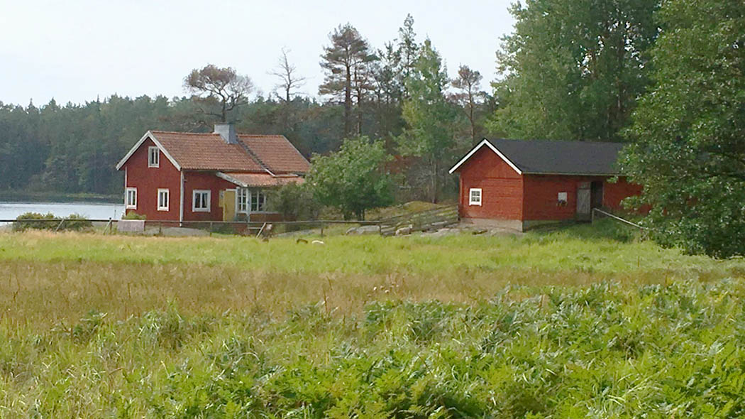 Saaristossa. Vanha kalastajantila ja navetta. Etusijalla laidunta alue.