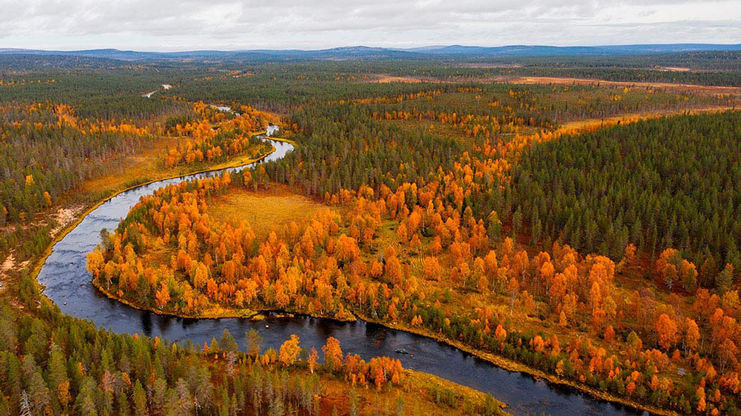 Joki ruska-ajan sekametsämaisemassa, taustalla horisontissa näkyy tuntureita.